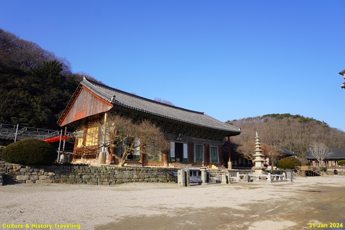 고창 선운사 동백나무 숲 (천연기념물) – Culture & Hitstory Traveling