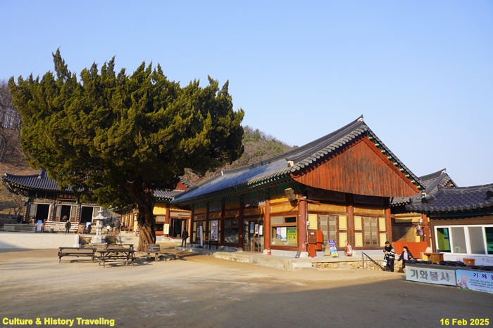영천 팔공산 은해사 – Culture & Hitstory Traveling